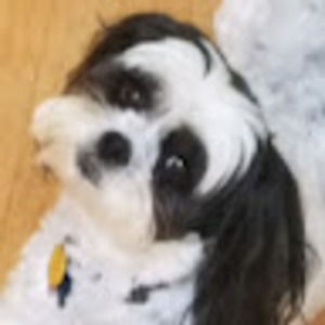 Meet your Posher, Kay